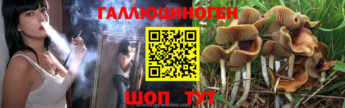 Псилоцибиновые грибы GOLDEN TEACHER  Вход с VPN  Галлюциногенные грибы GOLDEN TEACHER  Зима 